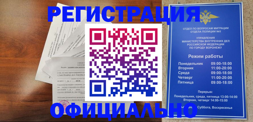 прописка поиск в Владимирской области